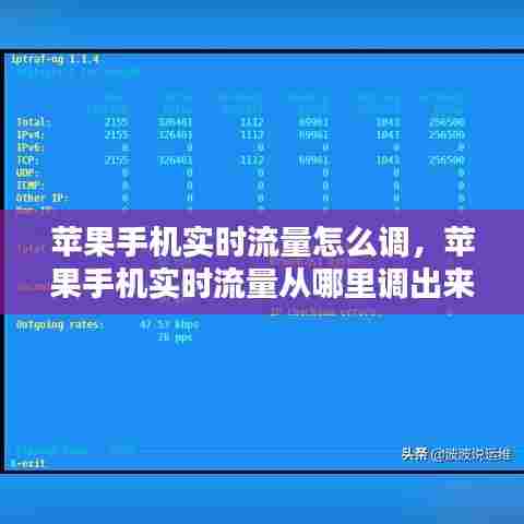 苹果手机实时流量怎么调，苹果手机实时流量从哪里调出来 