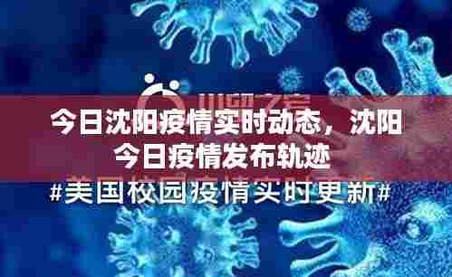 今日沈阳疫情实时动态，沈阳今日疫情发布轨迹 