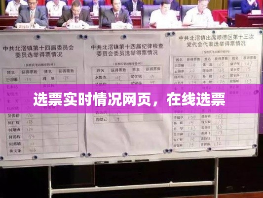 选票实时情况网页，在线选票 