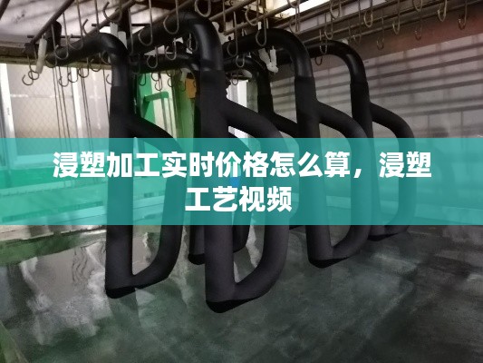 浸塑加工实时价格怎么算，浸塑工艺视频 