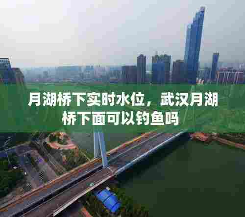 雍荣闲雅 第6页