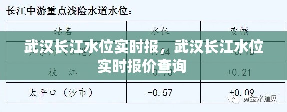 武汉长江水位实时报，武汉长江水位实时报价查询 