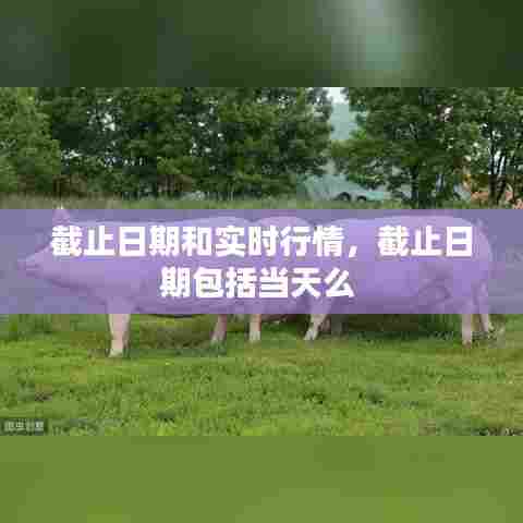 截止日期和实时行情，截止日期包括当天么 