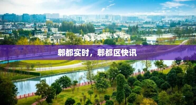 郫都实时，郫都区快讯 