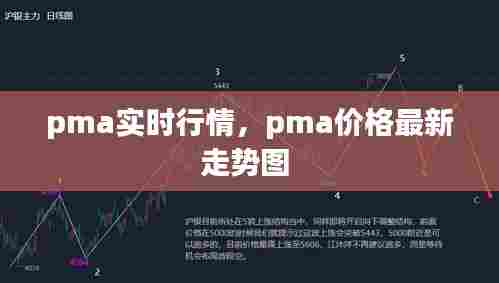 pma实时行情，pma价格最新走势图 