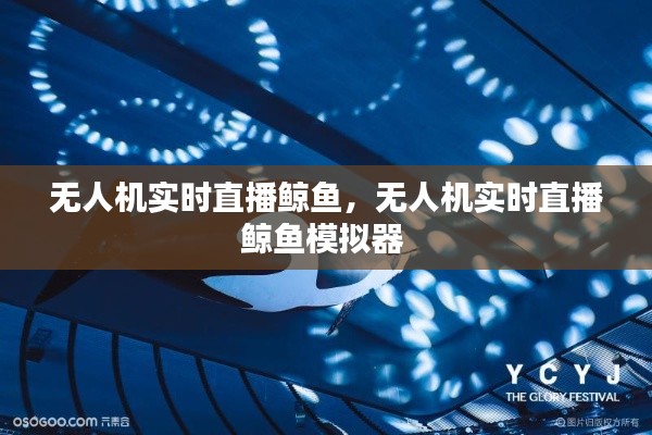 无人机实时直播鲸鱼，无人机实时直播鲸鱼模拟器 