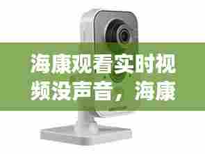 海康观看实时视频没声音，海康监控回放没有声音 