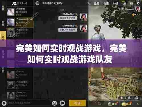完美如何实时观战游戏，完美如何实时观战游戏队友 