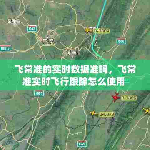 飞常准的实时数据准吗，飞常准实时飞行跟踪怎么使用 