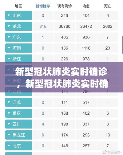 新型冠状肺炎实时确诊，新型冠状肺炎实时确诊数据 