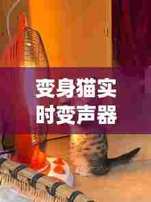 变身猫实时变声器，变身猫实时变声器下载安装 