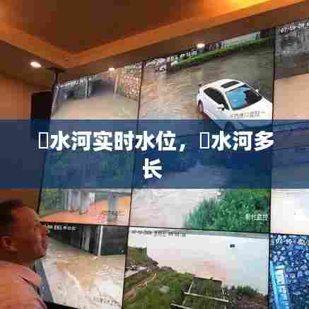 洣水河实时水位，洣水河多长 