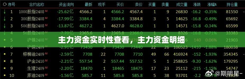 主力资金实时性查看，主力资金明细 