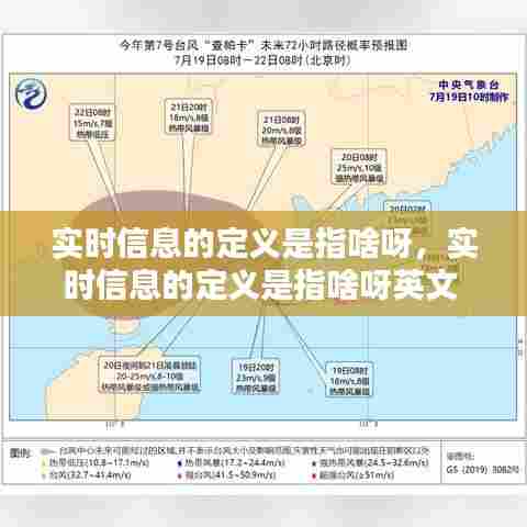 实时信息的定义是指啥呀，实时信息的定义是指啥呀英文 