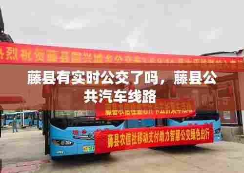 藤县有实时公交了吗，藤县公共汽车线路 