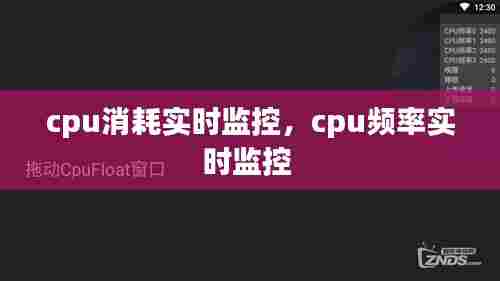 cpu消耗实时监控，cpu频率实时监控 