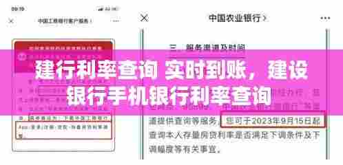 建行利率查询 实时到账，建设银行手机银行利率查询 