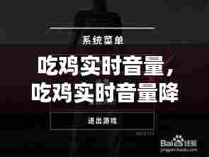 吃鸡实时音量，吃鸡实时音量降低 