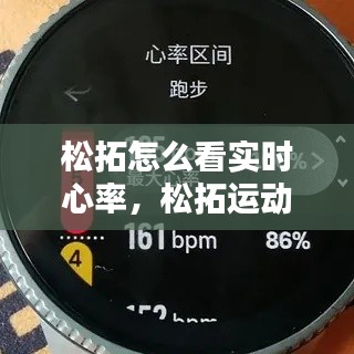 松拓怎么看实时心率，松拓运动手表怎么调时间 