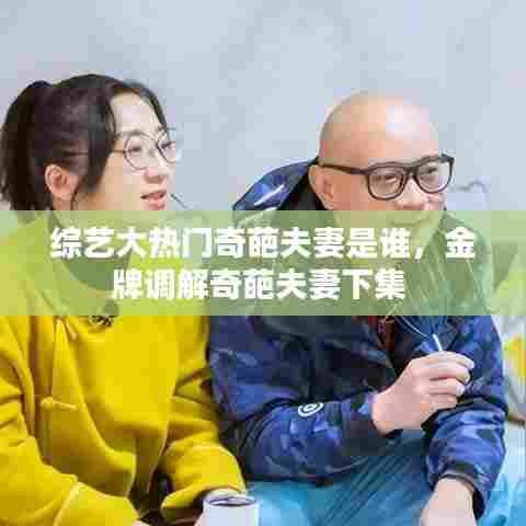 综艺大热门奇葩夫妻是谁，金牌调解奇葩夫妻下集 