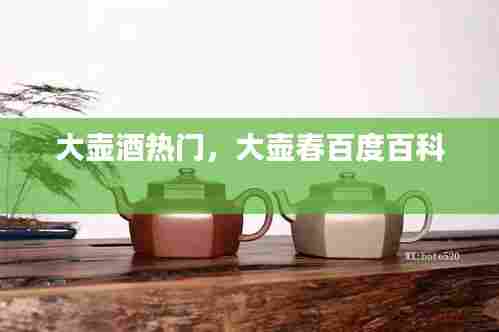 大壶酒热门，大壶春百度百科 