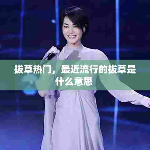 拔草热门，最近流行的拔草是什么意思 