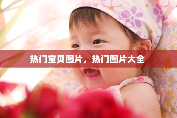 热门宝贝图片，热门图片大全 