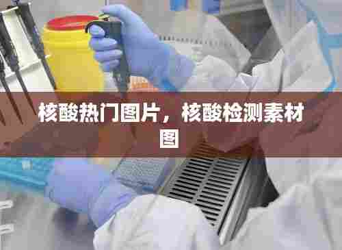 核酸热门图片，核酸检测素材图 