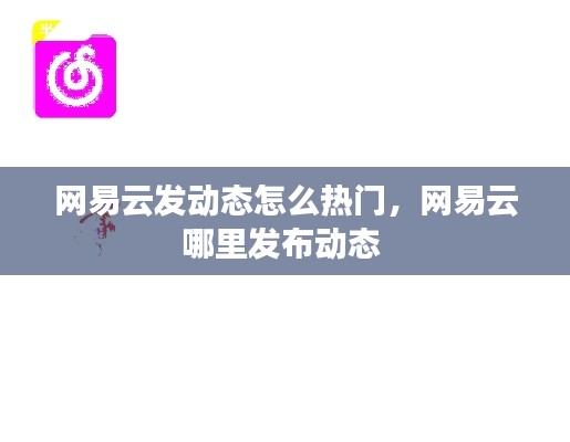 网易云发动态怎么热门，网易云哪里发布动态 