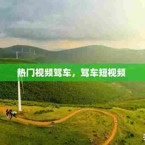 热门视频驾车，驾车短视频 