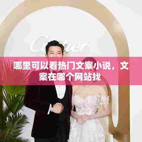 哪里可以看热门文案小说，文案在哪个网站找 