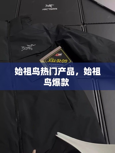 始祖鸟热门产品，始祖鸟爆款 