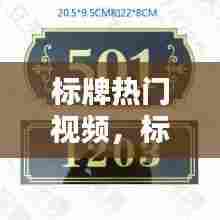 标牌热门视频，标牌热门视频大全 