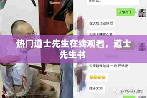 热门道士先生在线观看，道士先生书 