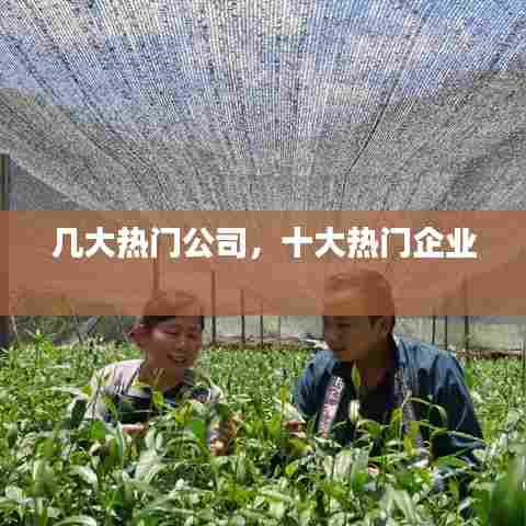 几大热门公司，十大热门企业 