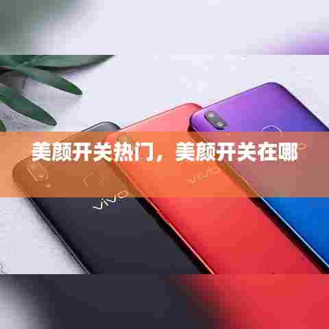 美颜开关热门，美颜开关在哪 
