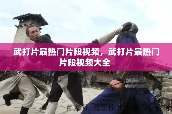 武打片最热门片段视频，武打片最热门片段视频大全 