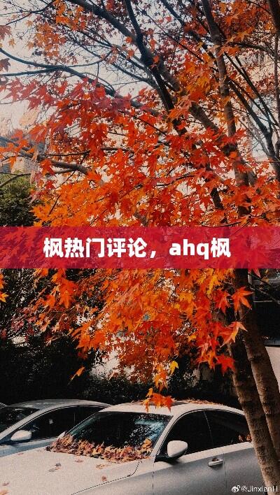 枫热门评论，ahq枫 
