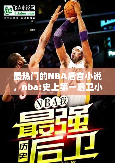 最热门的NBA后宫小说，nba:史上第一后卫小说 