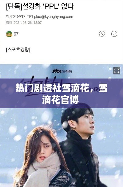 热门剧透社雪滴花，雪滴花官博 