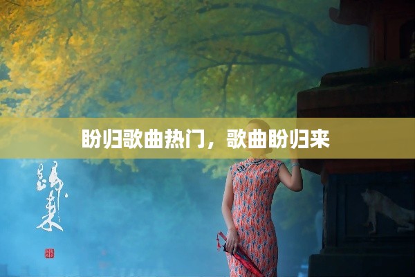 盼归歌曲热门，歌曲盼归来 