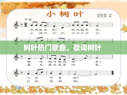 树叶热门歌曲，歌词树叶 