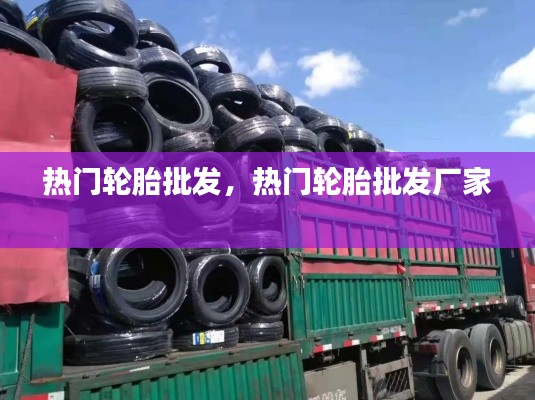 观往知来 第6页