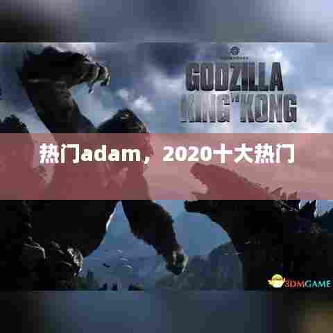 热门adam，2020十大热门 