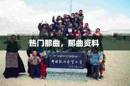 热门那曲，那曲资料 