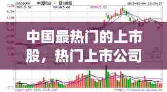中国最热门的上市股，热门上市公司股票 