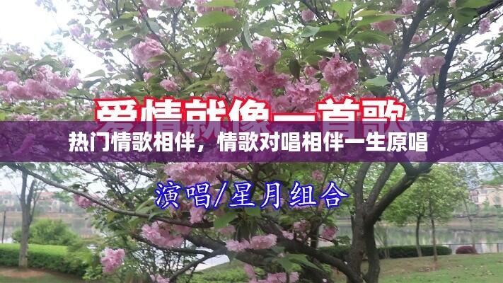 热门情歌相伴，情歌对唱相伴一生原唱 