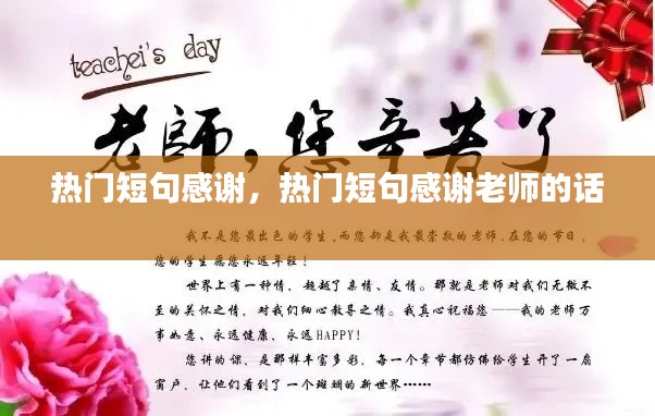 热门短句感谢，热门短句感谢老师的话 