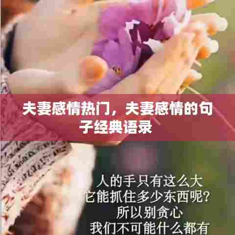 夫妻感情热门，夫妻感情的句子经典语录 