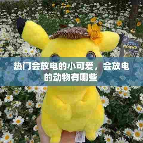 热门会放电的小可爱，会放电的动物有哪些 